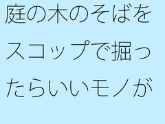 庭の木のそばをスコップで掘ったらいいモノが出てきた [サマールンルン]