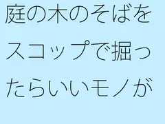 庭の木のそばをスコップで掘ったらいいモノが出てきた