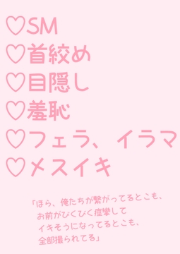 ドッキリで部屋にカメラ仕掛けたけど目隠し首絞めプレイしちゃった話 [hakozume]