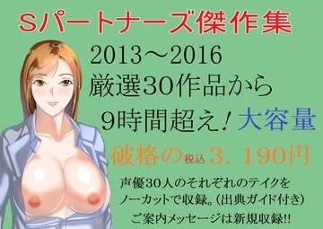 Sパートナーズ傑作集 9時間超・ 税込3,190円 [Sパートナーズ]