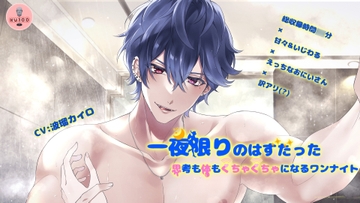 一夜限りのはずだった～思考も体もぐちゃぐちゃになるワンナイト～ [Nigella]