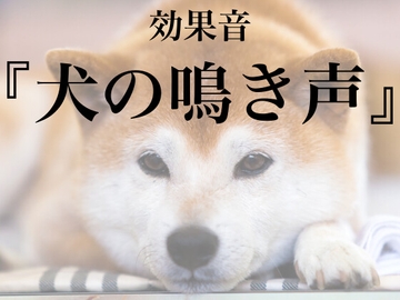 【効果音】犬の鳴き声【フリー素材】 [暮らしの音素材]