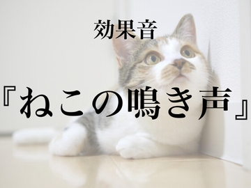 【効果音】ねこの鳴き声【フリー素材】 [暮らしの音素材]