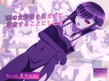 悪の女幹部を倒さずに調教することにした3 [Sometimes Bad Tool]