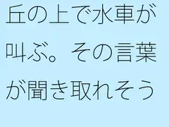 丘の上で水車が叫ぶ。その言葉が聞き取れそうで・・・・・