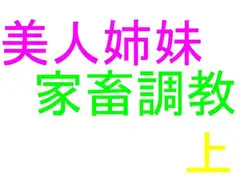 美人姉妹 家畜調教 上巻