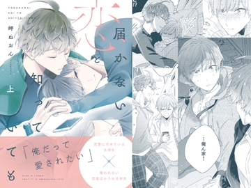 届かない恋と知っていても(上) [mer]