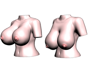 デジタルデッサン人形 upper body [Mangoo King]