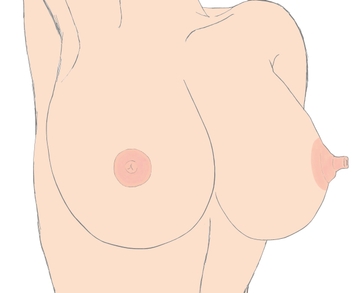 おっぱい図鑑その1 [Moilie]