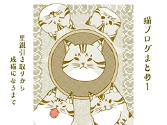 小説屋 白石華