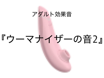 [アダルト効果音素材]ウーマナイザーの音2[著作権フリー] [大人の音素材]