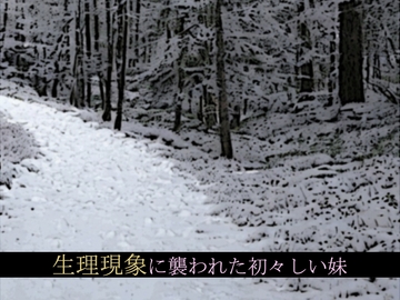 生理現象に襲われた初々しい妹 [ソソソソソソ]