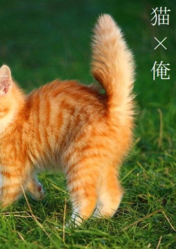 猫×俺 [ダラナ]