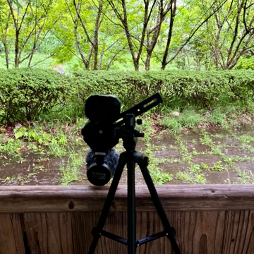 水たまりに落ちる雨A 04:45pm (HPLバイノーラル) [UZrecords]