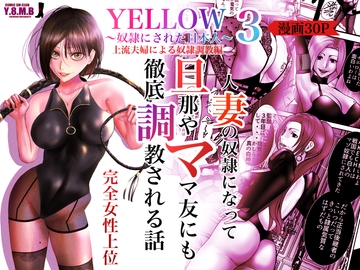 YELLOW～奴○にされた日本人～3 上流夫婦による奴○調教 [ユキコハチメガバイト]