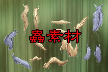 触手素材2_蟲 [好きこそ物の上手なれ]