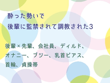 酔った勢いで後輩に監禁されて調教された3 [ねこっと庭園]