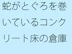 蛇がとぐろを巻いているコンクリート床の倉庫の隅