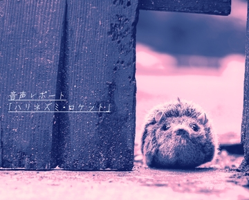 音声レポート「ハリネズミ・ロケット」【PDF版】 [魚雷やさんごっこ]