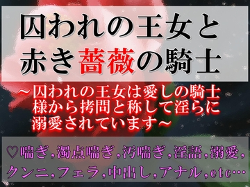 囚われの王女と赤き薔薇の騎士～囚われの王女は愛しの騎士様から○問と称して淫らに溺愛されています～ [すももしゃっふる]