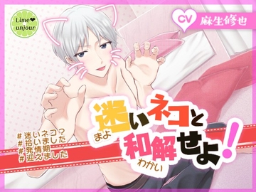 迷いネコと和解せよ! [Lime unjour]