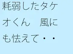 耗弱したタケオくん 風にも怯えて・・・