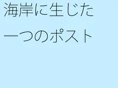 海岸に生じた一つのポスト