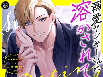 溺愛ヤンキーくんに溶かされて [ひみつ猫β]