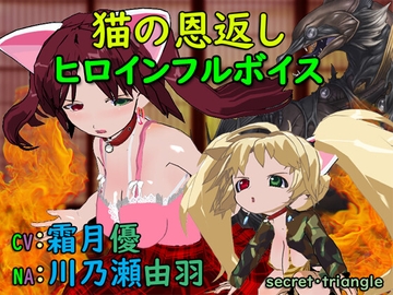 猫の恩返し [シークレット・トライアングル]