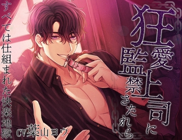 狂愛上司に監禁されたら [Vitrafeles]