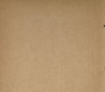 Adventures of Oddy(架空のRPGサウンドトラック) [Ness Sound]