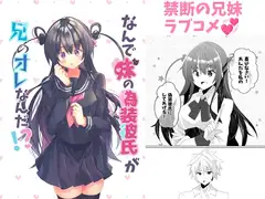 何で妹の偽装彼氏が兄のオレなんだ!?