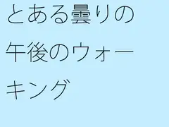 とある曇りの午後のウォーキング