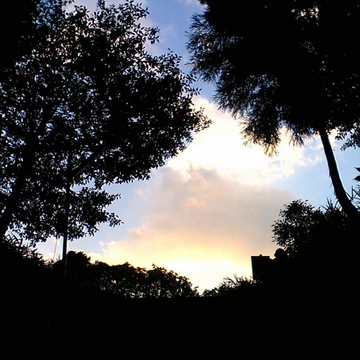 瑞浪 - 蝉の声02(バイノーラル録音) [UZrecords]