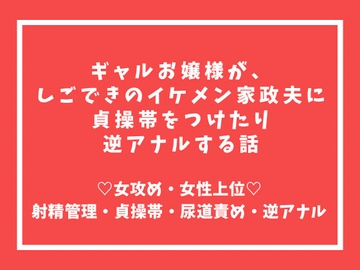 ギャルお嬢様が、しごできのイケメン家政夫に貞操帯をつけたり逆アナルする話 [伊万里]