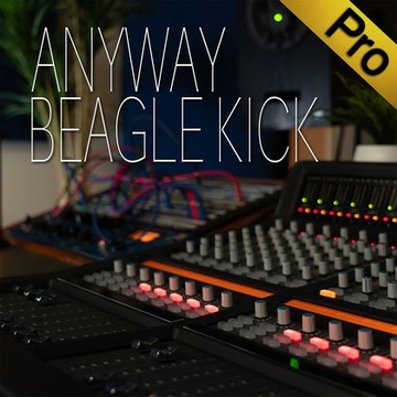 [Pro]ANYWAY Multi Track Professional Edition [Beagle Kick]
