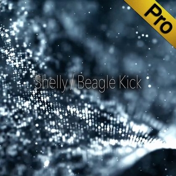 [Pro]Shelly Multi Track Professional Edition [Beagle Kick]