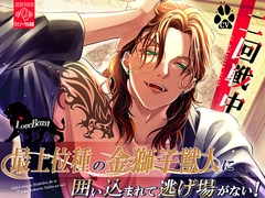 【KU100】最上位種の金獅子獣人に囲い込まれて逃げ場がない! [耳Honey]