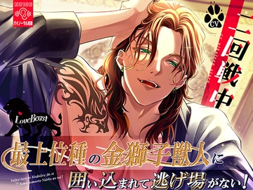 【KU100】最上位種の金獅子獣人に囲い込まれて逃げ場がない! [耳Honey]