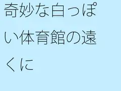 奇妙な白っぽい体育館の遠くに