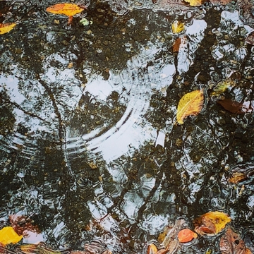 雨粒ドロップス [UZrecords]