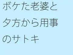 ボケた老婆と夕方から用事のサトキ