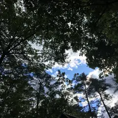 白州 - カエルの鳴き声01 (バイノーラル録音)
