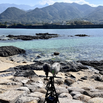 屋久島 - 塚崎タイドプール 10:12am [UZrecords]