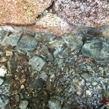 丹沢湖 - 湧き水01(バイノーラル録音) [UZrecords]