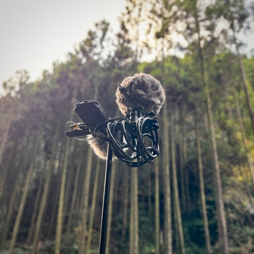 熊野古道:小川 - 猪鼻王子跡 08:18am(HPLバイノーラル) [UZrecords]