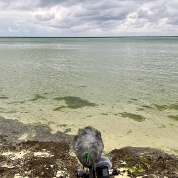 久米島 - シンリ浜 05:36pm 20230204 [UZrecords]