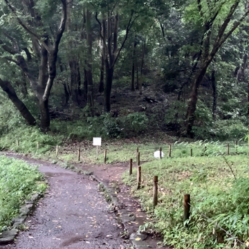 四季の森公園 - 雨05B(HPL2 バイノーラル) [UZrecords]