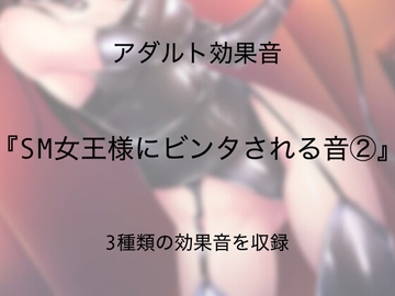 [アダルト効果音素材]SM女王様にビンタされる音2[著作権フリー] [大人の音素材]