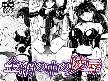 金網の中の凌○<希々花編> [TOKYO MIXED]